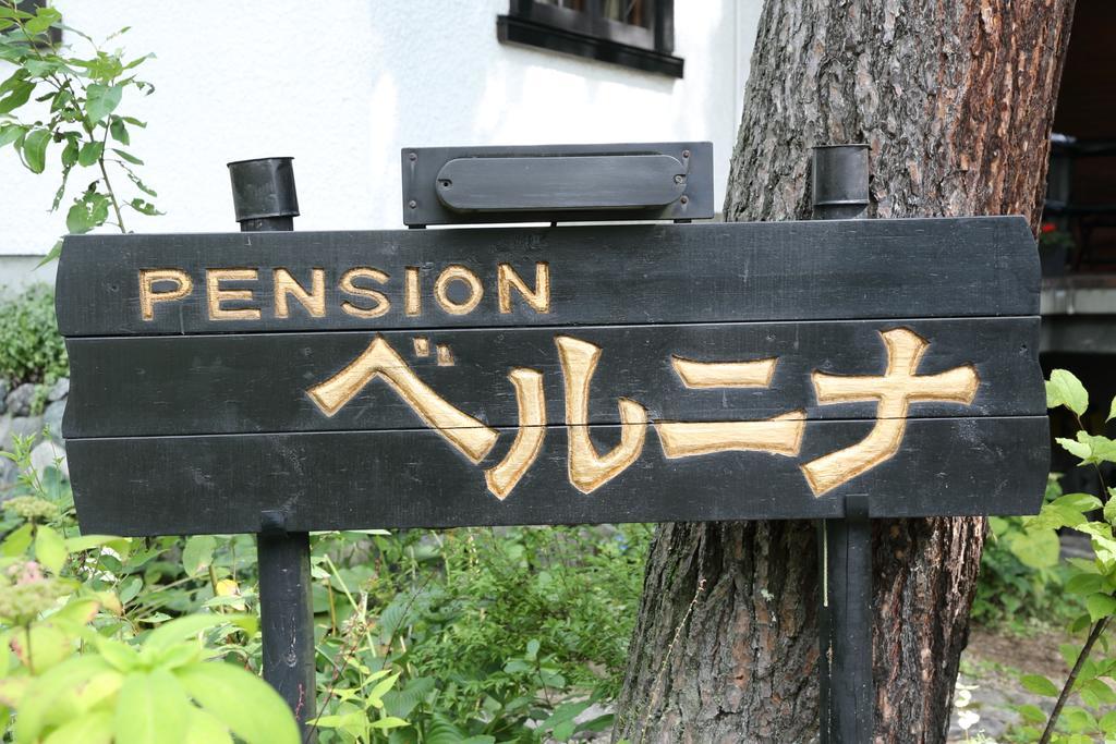 Pension Belnina Hakuba Zewnętrze zdjęcie